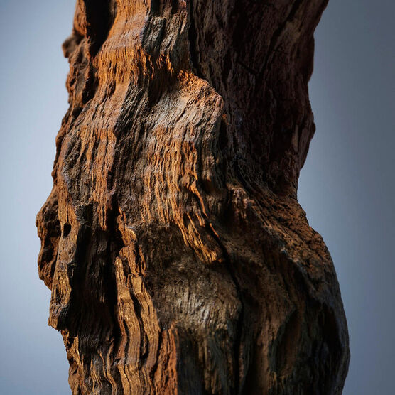 HUGO BOSS  BOSS BOTTLED  EDP  200ML